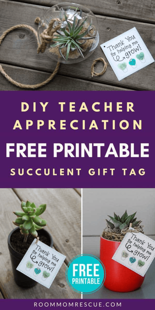 Printable teacher appreciation tags