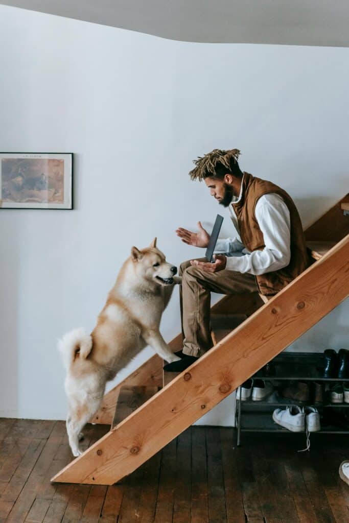 Working from Home with Pets